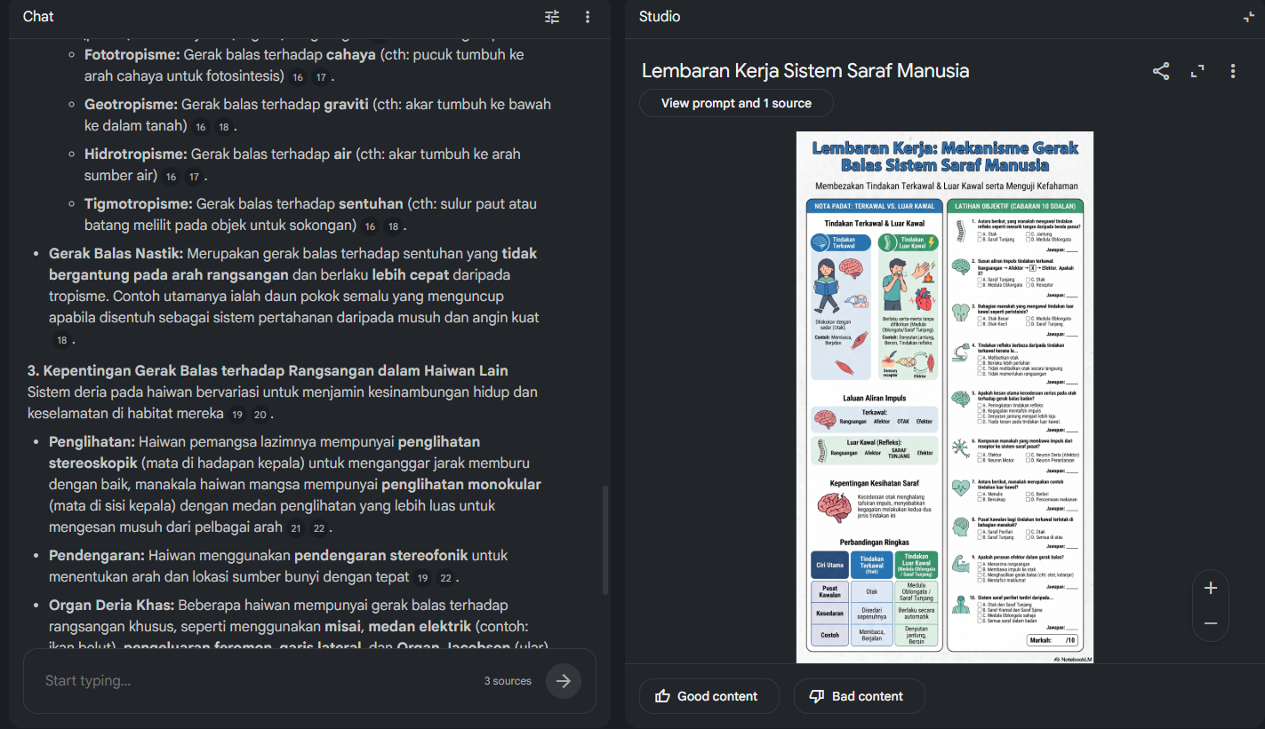 Contoh lembaran kerja Sistem Saraf Manusia dijana oleh Gemini Notebook menggunakan fungsi infografik